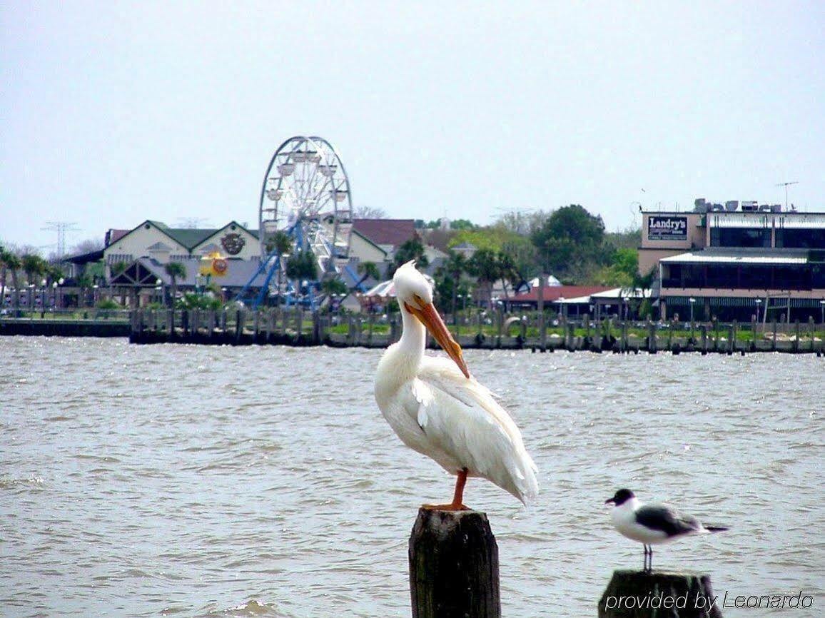 Boardwalk Inn Kemah Eksteriør billede